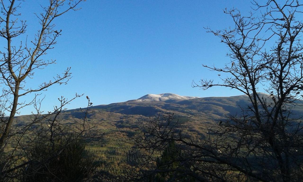 塞吉阿诺Dimora Toscana公寓 外观 照片